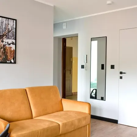 Go2krynica - Aquavelo *