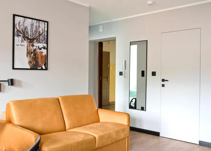 Go2krynica - Aquavelo *